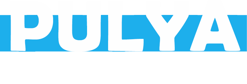 Pulya Scooters